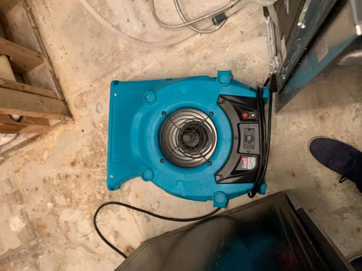 Air mover drying equipment for Mold Remediation & Removal in Port Townsend