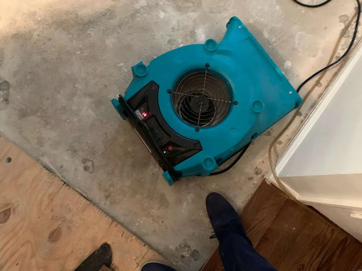 Air mover drying subfloor during Leak Detection & Repair in Port Townsend