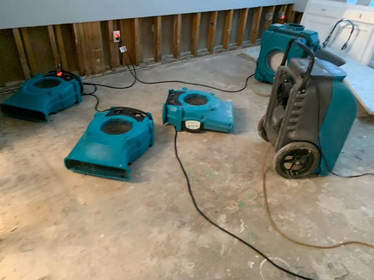 Water Damage Restoration services in Port Townsend, WA